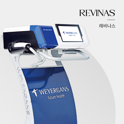 레비나스